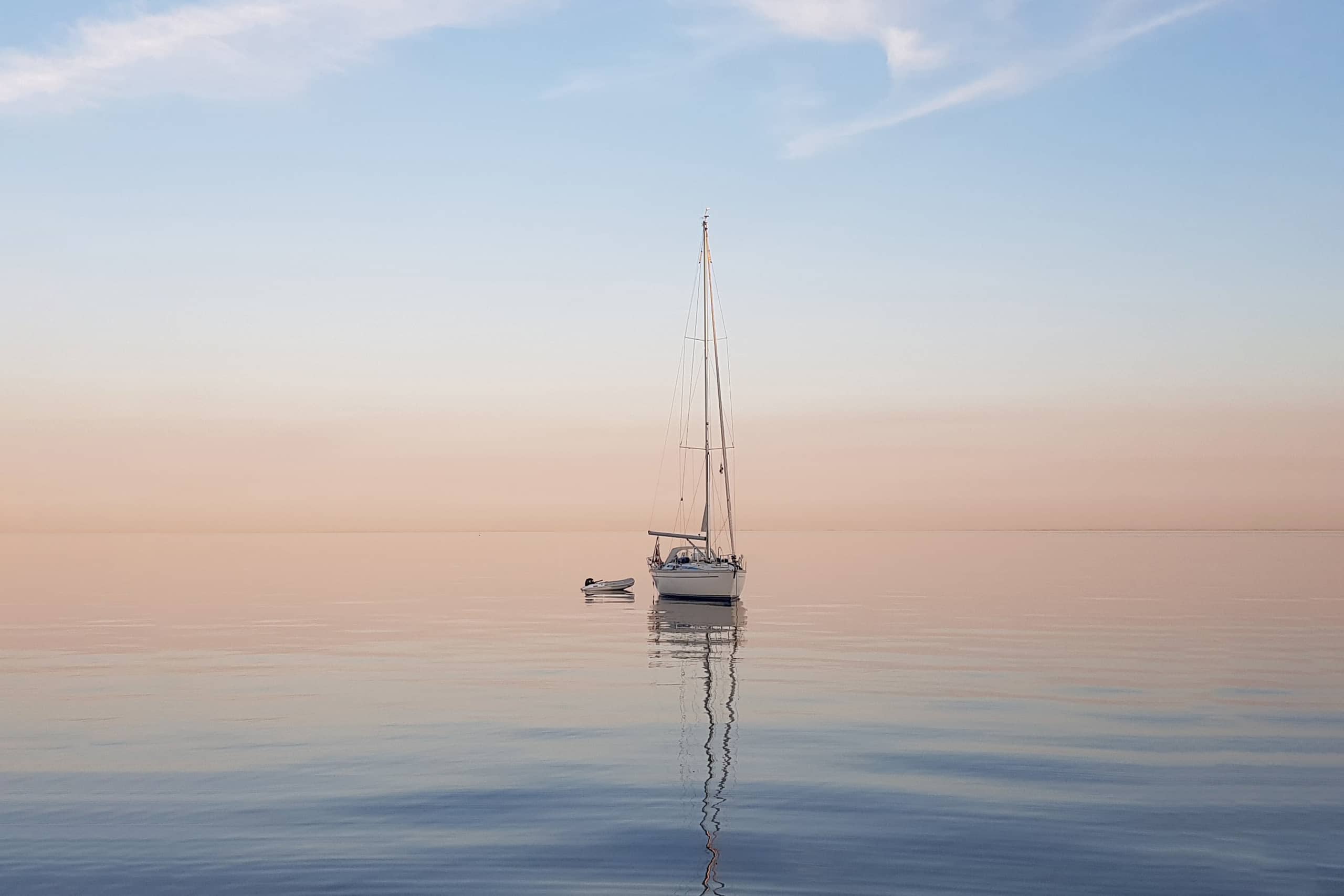 Purpose USD Cash Management Fund